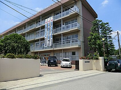朝霞市立朝霞第三中学校 1262m