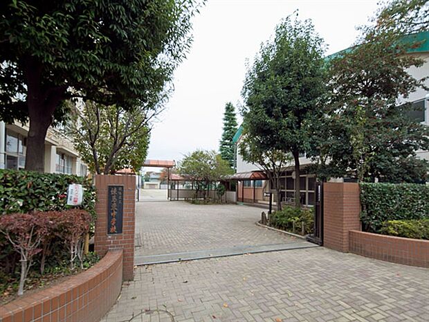 練馬区立練馬東中学校(約400m)