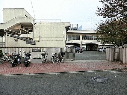 横浜市立本宿中学校 1590m