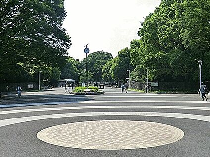 代々木公園 903m