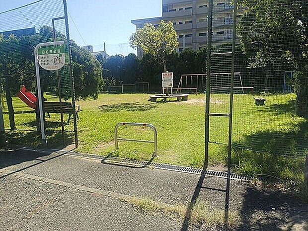 柏田公園（約453m）