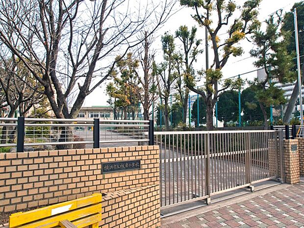 横浜市立根岸小学校（約512m）