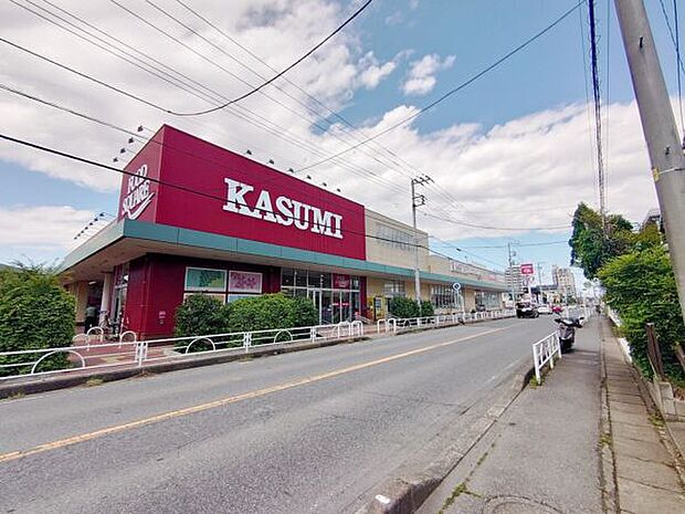 カスミフードスクエア柏千代田店（約592m）