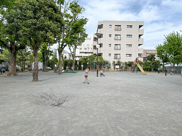 下小田中公園（約556m）