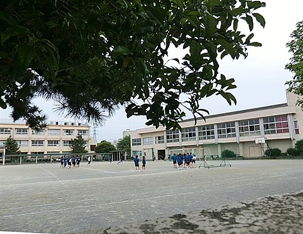 葛飾区立常盤中学校（約1,319m）