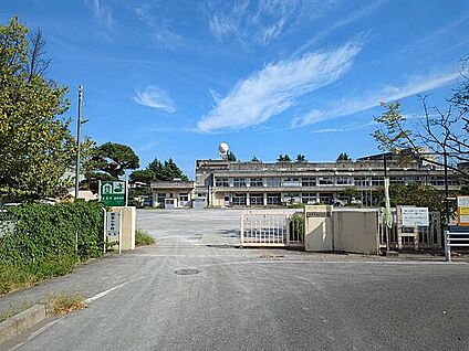 柏市立旭東小学校 970m