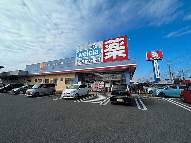 ウエルシア太田新道町店(約201m)