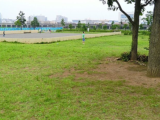 横浜市立大綱中学校（約340m）