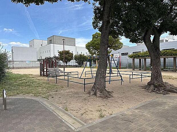 駒ヶ林公園(約318m)