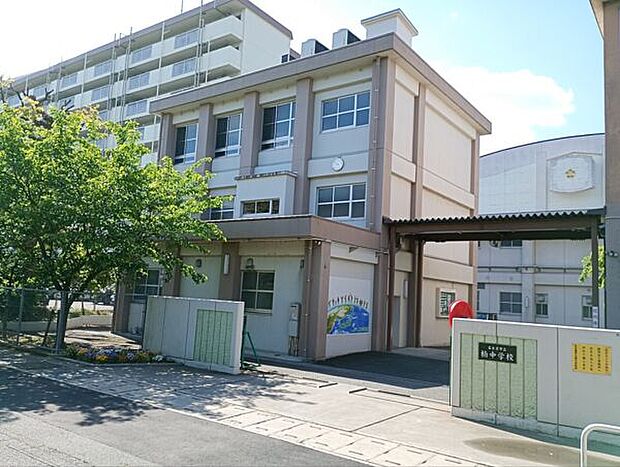 名古屋市立楠小学校(約542m)