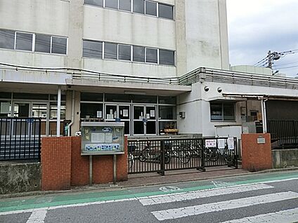 葛飾区立新宿小学校 797m