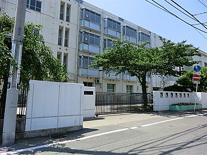 川崎市立南加瀬中学校 455m