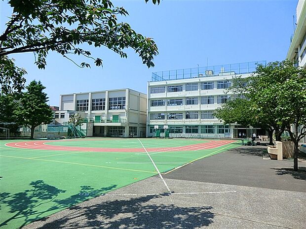 大田区立入新井第五小学校(約236m)
