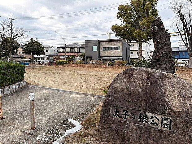 太子ヶ根公園(約285m)