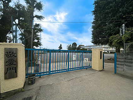 川口市立鳩ヶ谷小学校 226m