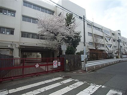 横浜市立太田小学校 560m