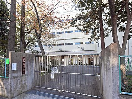 杉並区立天沼中学校 1172m