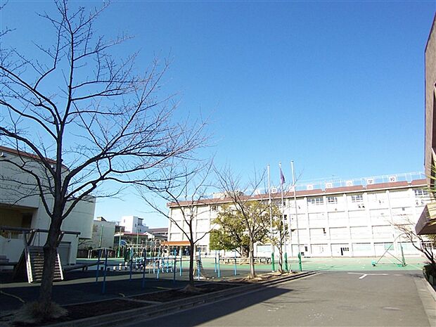 墨田区立第二寺島小学校(約497m)