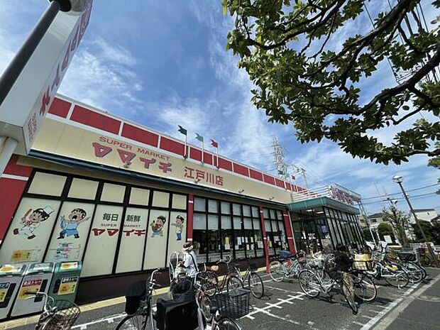 ヤマイチ江戸川店（約477m）