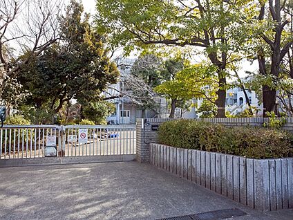 川崎市立小倉小学校 700m