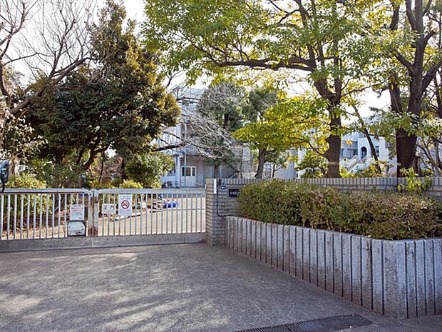 川崎市立小倉小学校（約700m）