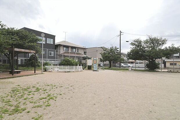 今宿松原公園(約107m)