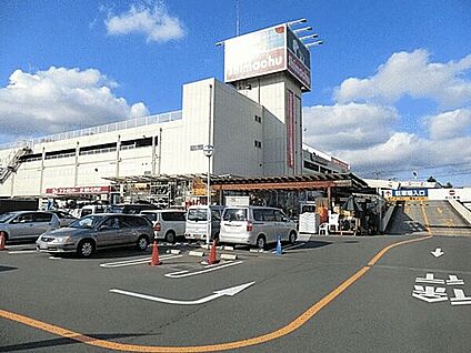 島忠ホームセンター和光店 892m
