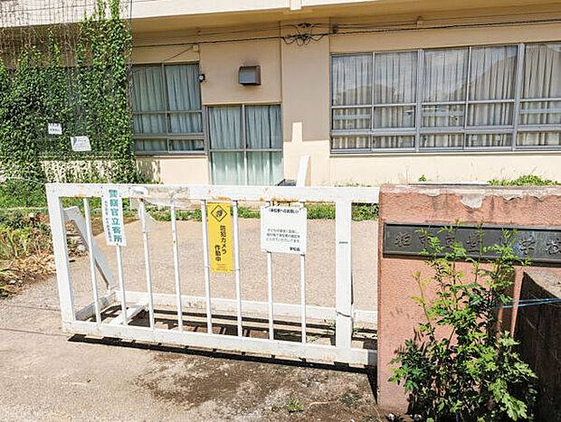 柏市立豊小学校(約580m)