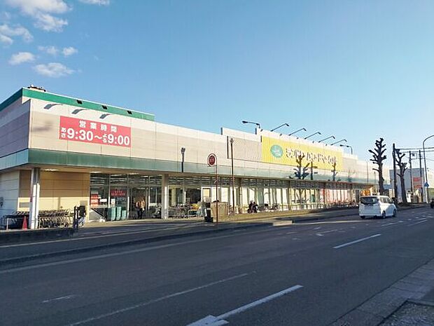 ランドロームフードマーケット 都賀店(約730m)