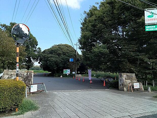 加曽利貝塚縄文遺跡公園(約1,318m)