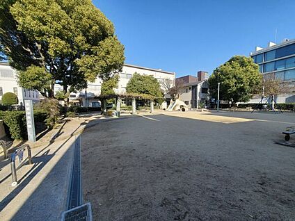 本郷中央公園 904m