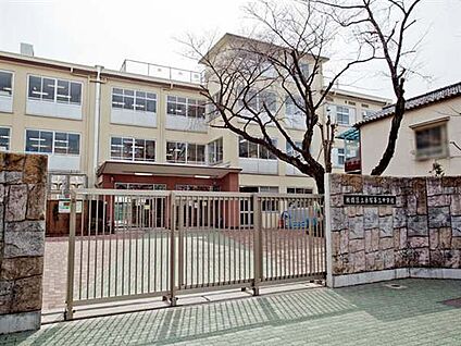 板橋区立赤塚第三中学校 574m