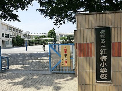 板橋区立紅梅小学校 523m