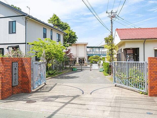 茅ヶ崎市立茅ヶ崎小学校（約984m）