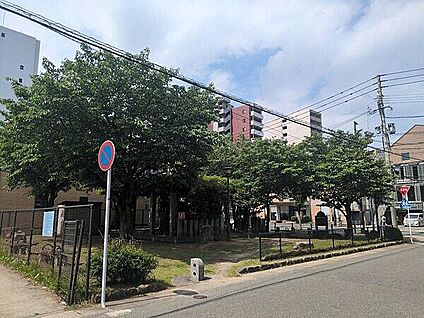 箱崎3号緑地 950m