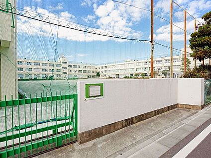 世田谷区立松沢中学校 1241m