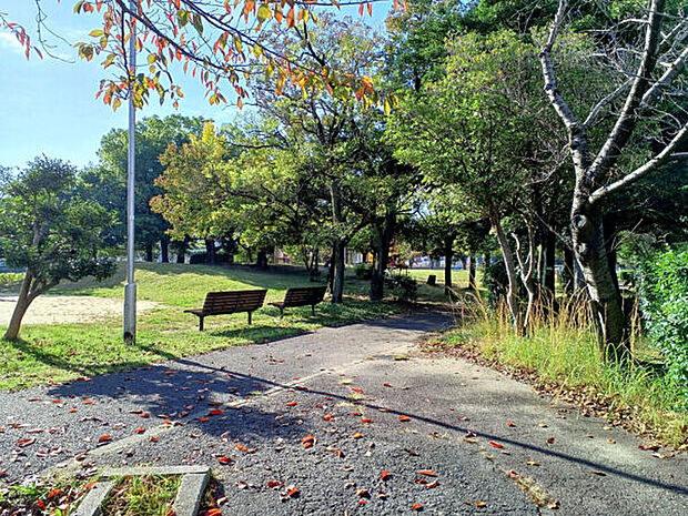 一ツ木公園(約1,324m)