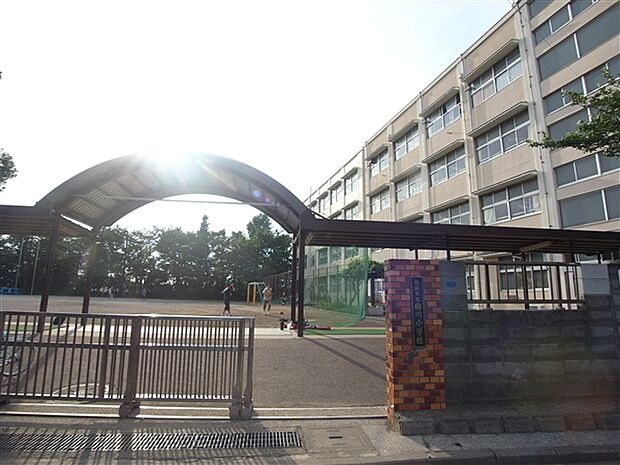 横浜市立駒岡小学校(約991m)