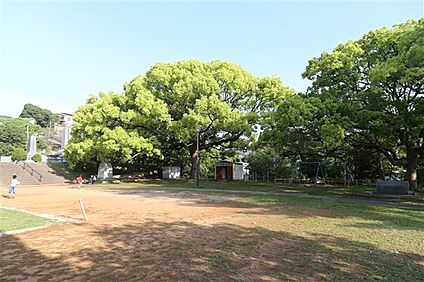 谷公園 467m