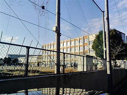 名古屋市立鳴子小学校 504m