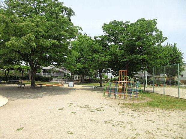 永森公園(約729m)