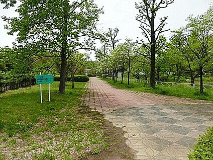 恩廻公園 894m
