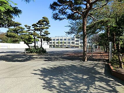 中野区立緑野小学校 348m