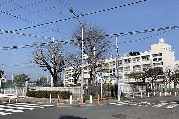 横浜市立日限山小学校(約303m)