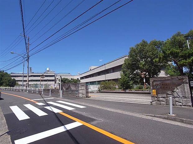 横浜市立松本中学校（約430m）