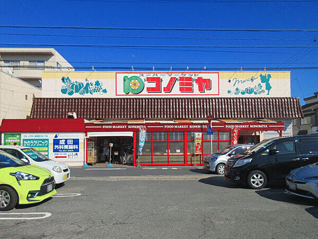 コノミヤ中根店（約520m）