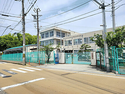 堺市立八下中学校 1906m