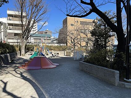 豊島区立駒込公園 1116m
