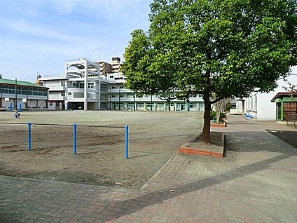 横浜市立生麦小学校 497m