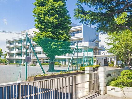 横浜市立石川小学校 312m